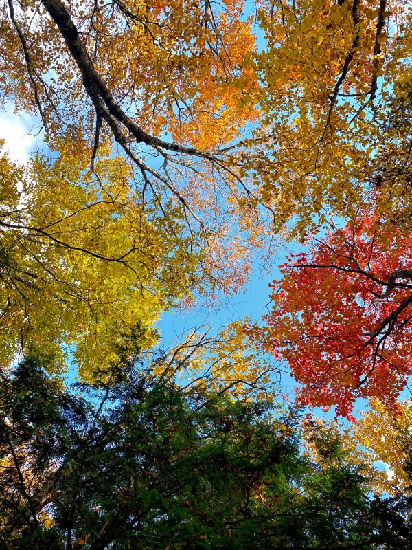 Traveling in New England