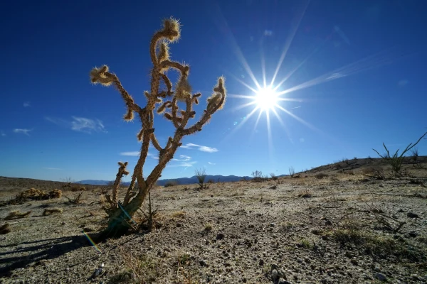 Traveling in the Southern California Desert