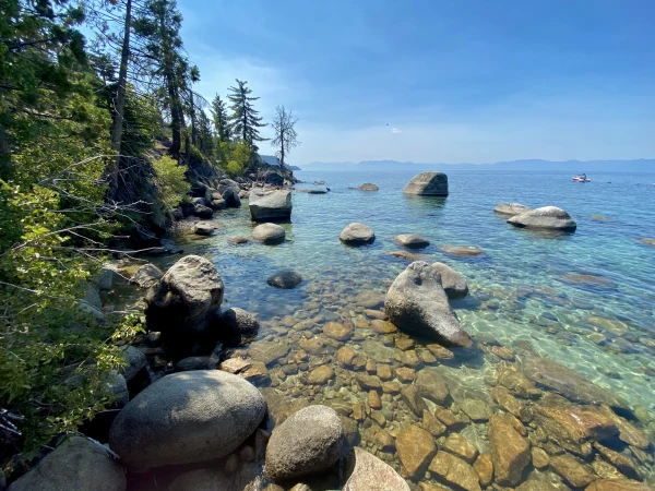 Trees, Mountains, and Water